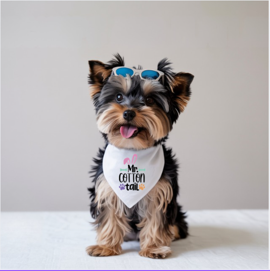 Mr. Cottontail Easter Dog Bandana