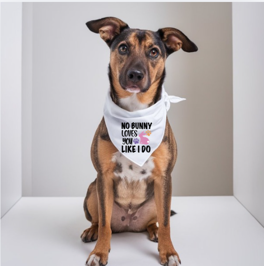 No Bunny Loves You Like I Do Easter Dog Bandana