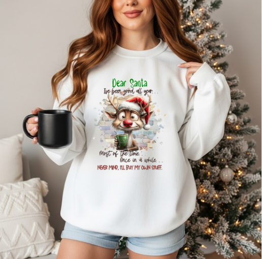 Dear Santa I've Been Good All Year, Nevermind, I'll Buy My Own Stuff